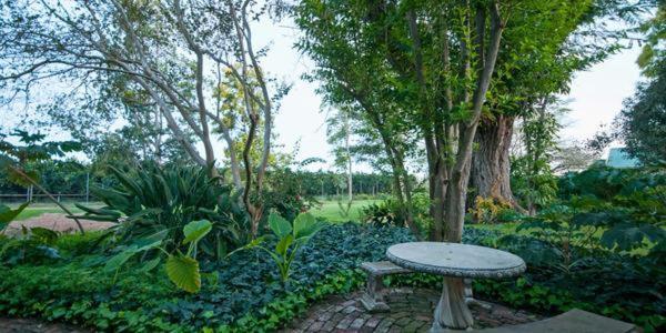 Lupus Den Country House B&B Sunland Exterior photo